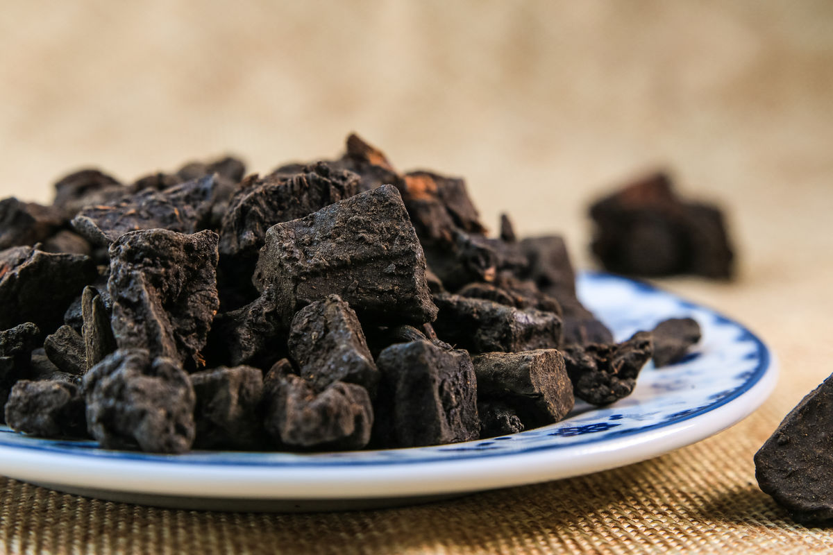 µÂÆËÖ®ÐÇ - dpzx.com