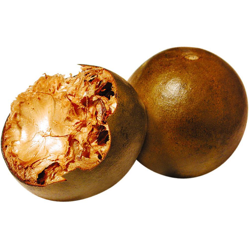 µÂÆËÖ®ÐÇ - dpzx.com